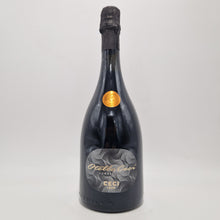 Carica l'immagine nel visualizzatore di Gallery, Lambrusco Emilia Frizzante - Ceci