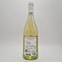 Carica l&#39;immagine nel visualizzatore di Gallery, Falanghina IGP BIO - Tenuta Viglione
